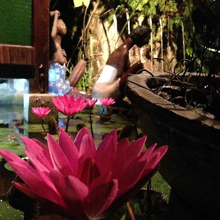 The Lotus Garden Bed and Breakfast Puerto Princesa Εξωτερικό φωτογραφία