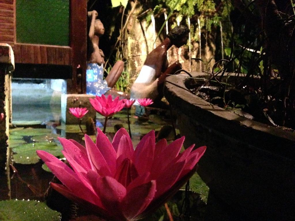 The Lotus Garden Bed and Breakfast Puerto Princesa Εξωτερικό φωτογραφία